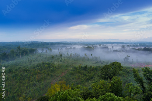 As the summer season is full swing in South Carolina  there is lots of fog mornings over forest
