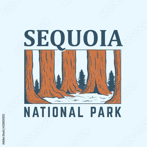 Fototapeta Naklejka Na Ścianę i Meble -  Hand draw illustration of saquoia national park, vintage, perfect for t-shirt design and more