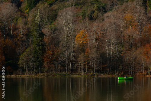 Autumn Colors in the Borcka Karagol Lake  Borcka Artvin  Turkey