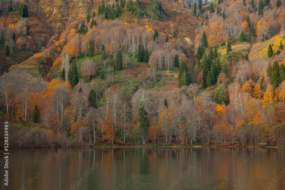 Autumn Colors in the Borcka Karagol Lake, Borcka Artvin, Turkey