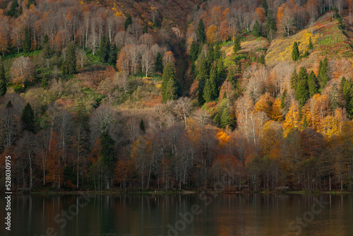 Autumn Colors in the Borcka Karagol Lake, Borcka Artvin, Turkey