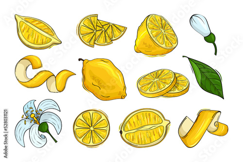 Lemon set. Yellow peel, lemonade elements, zest and flowers, fresh leaves and whole isolated citrus juicy fruits, hand drawn half and slices. Summer elements for decor. Vector illustration