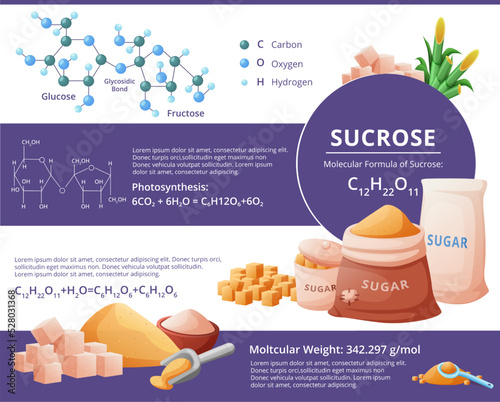 Sugar cane. Sucrose atom structure. Glucose . Brown cube food. Molecule and formula. product. Sweetener ingredient bag. Heap with scoop. Vector illustration concept