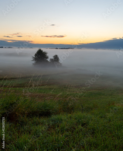 Sunrise in the Biebrza National Park. Foggy morning. The sun is shining through the fog. Trees in the fog. September in Podlasie