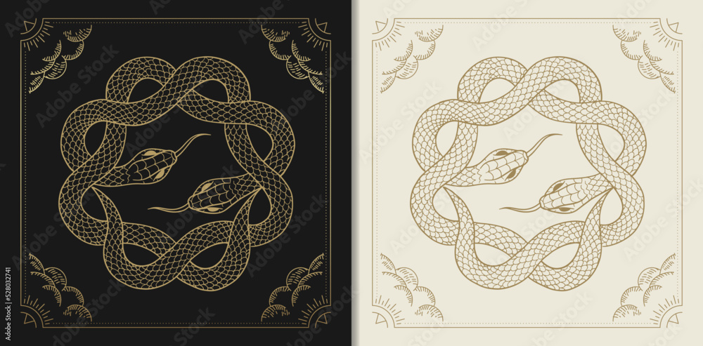 Two snakes are wrapped around each other to form a circle or star Stock ...