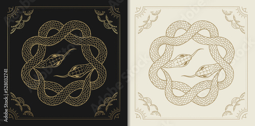Two snakes are wrapped around each other to form a circle or star