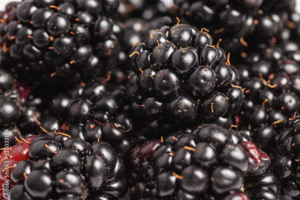 Fresh ripe blackberries as background close up, top view Fresh ripe blackberries as background close up, top view