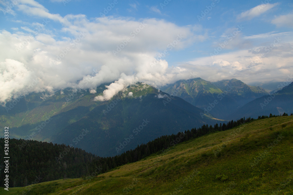 Fog in the Gito Plateau, Camlihemsin Rize, Turkey 