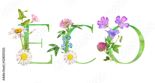 watercolor drawing lettering eco with flowers  hand drawn illustration