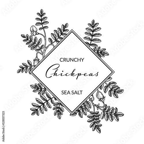 Hand drawn chickpeas botany frame. Vector illustration in sketch style. Design for packaging, logo, poster, badge, label photo