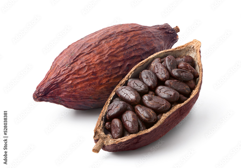 Cocoa beans with cocoa pod isolated on white background. Clipping path. - obrazy, fototapety, plakaty 