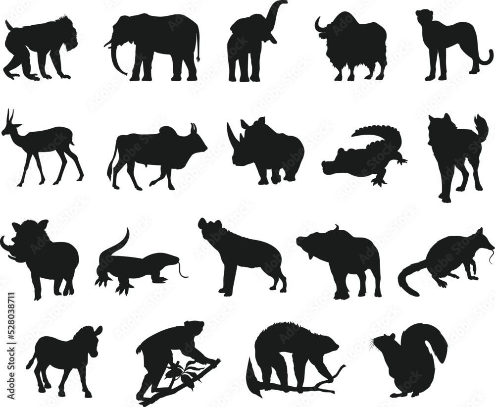 Collections of Wild Animals Various type flat isolated vector Silhouettes
