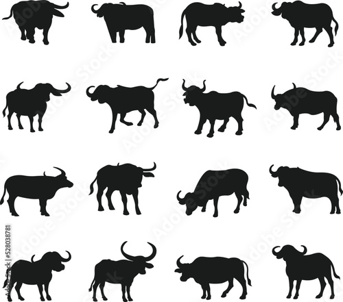 Collection of Buffalo Girls flat isolated vector Silhouettes