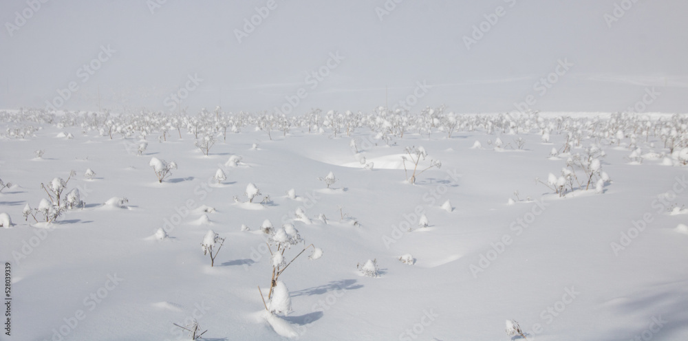 Paysage désertique recouvert de neige Paysage désertique recouvert de neige