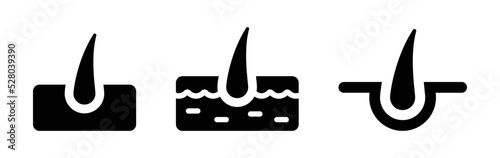Hair follicle icon set. Scalp and follicle symbol isolated on white background.