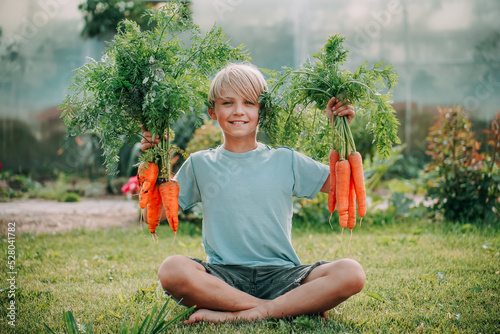 A boy is blond, the child holds two bunches of carrots in his hands and smiles, he is sitting in the garden on the grass, on the lawn. It's harvest time!