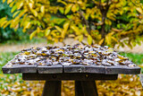 Jesiennie liście na drewnanej ławie