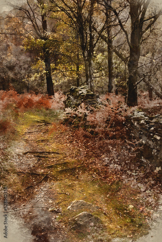 Digital watercolour painting of Stunning vibrant Autumn landscape image of forest woodlands around Holme Fell in Lake District