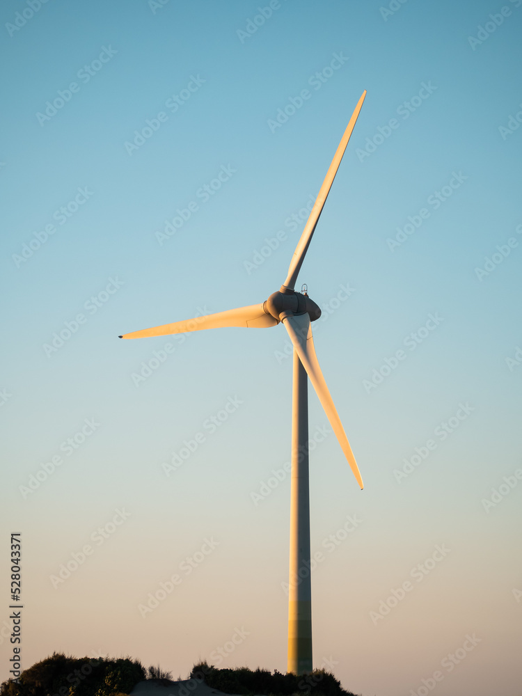 wetlands with wind energy in sunny day wetlands with wind energy in sunny day