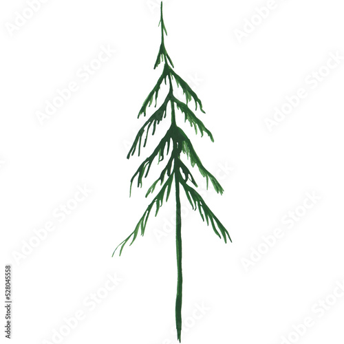 Pine tree isolated on a transparent background. Watercolor evergreen plants. Scotch fir illustration. Single tree clipart. Landscape scene objects. Hand-drawn green pine tree illustration.