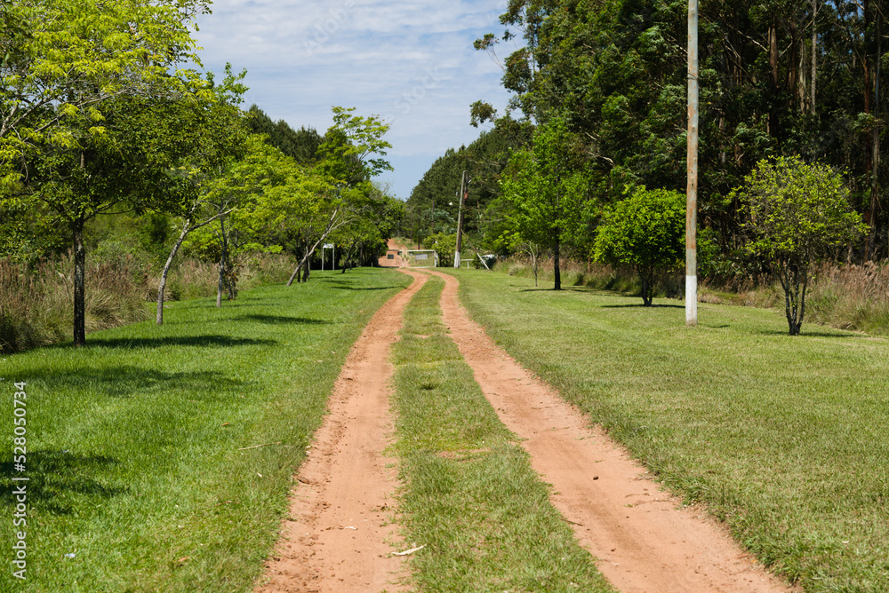 Countryside pathway in Ombu Chico, in the Province of Misiones, Argentina.