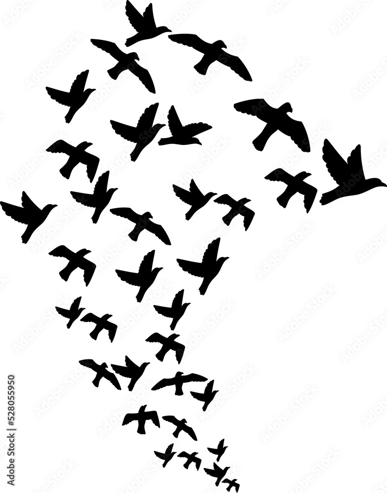 Flock of flying birds png illustration