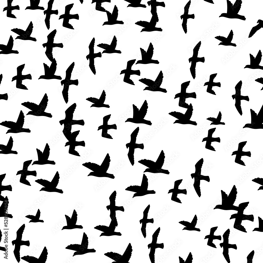 Background pattern with a flock of flying birds png illustration Background pattern with a flock of flying birds png illustration