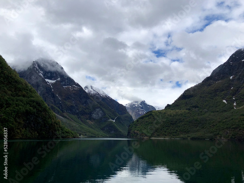 The Naeroyfjord with a seagull in Norway (Nærøyfjord), UNESCO World Heritage Site. An arm of Sognefjord. Best Norway landscape photos. Popular Norway tourist destinations, famous Norway fjords