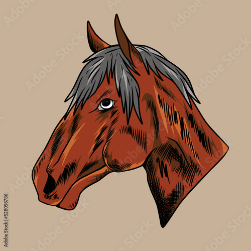 horse vector illustration specially made for advertising branding use and so on
