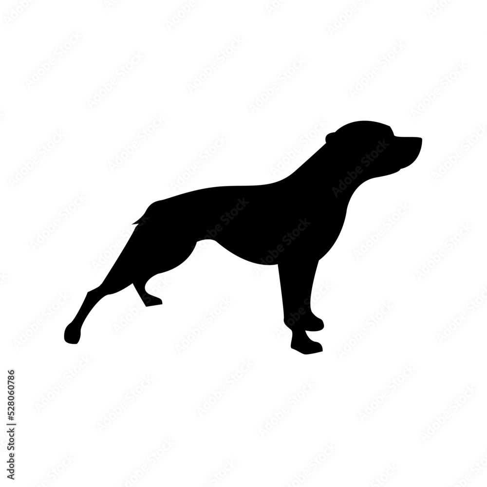 Vector black silhouette of a pitbull breed dog, vector flat design of animal, mascot.