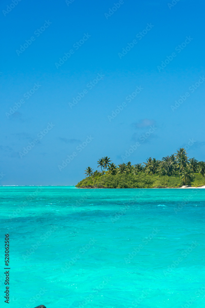 Maldives: Desert island with palms, turquoise sea and blue sky on Ari Atoll