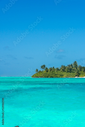 Fototapeta Naklejka Na Ścianę i Meble -  Maldives: Desert island with palms, turquoise sea and blue sky on Ari Atoll