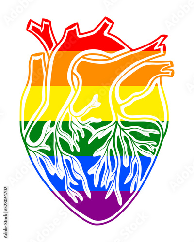 Anatomical heart with LGBT flag isolated vector. LGBT concept, pride month. 