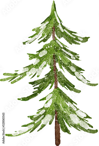 Watercolor hand drawn illustration of Christmas tree. Winter new year evergreen fir pine spruce plant. December season celebration design, holiday party print for invitations cards, isolated © Marina Lahereva