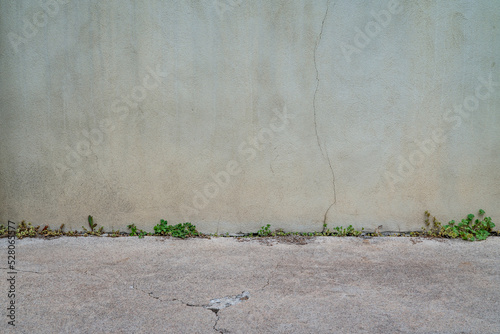 Wallpaper Mural urban texture and background old gray grunge building wall and concrete pavement