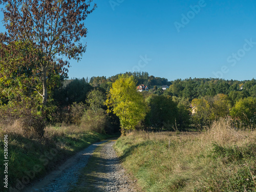 country road at late summer rural landscape with green meadow , trees , forest and clear blue sky, natural background