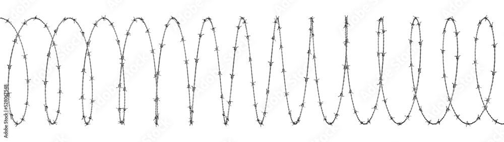 Fototapeta premium Spiral of Barbed Wire. Front View. 3D Illustration
