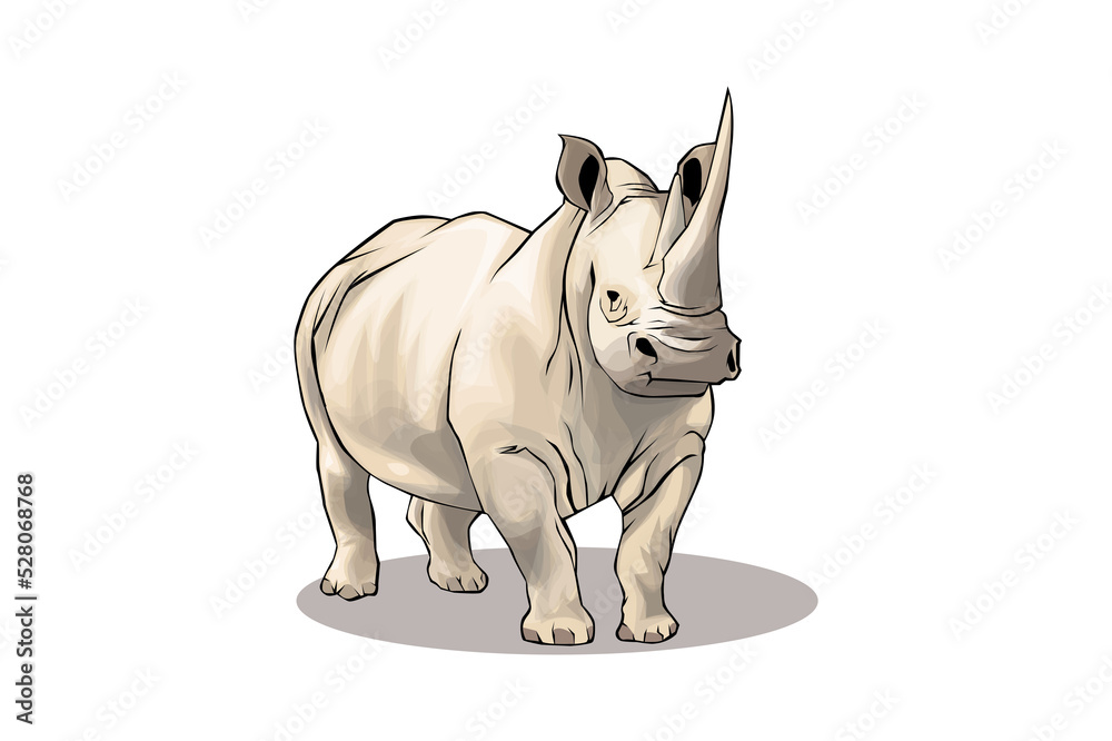 Obraz premium rhinoceros 