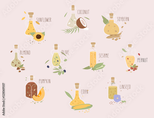 Set of different flat icons of oils for cooking in glass bottles. Includes vector illustrations of vegetables such as sunflower, coconut, soybean, almond, olive, sesame, groundnut, peanut and pumpkin.