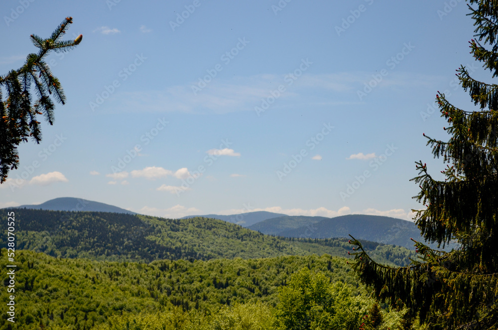 Mountains summer landscape Mountains summer landscape