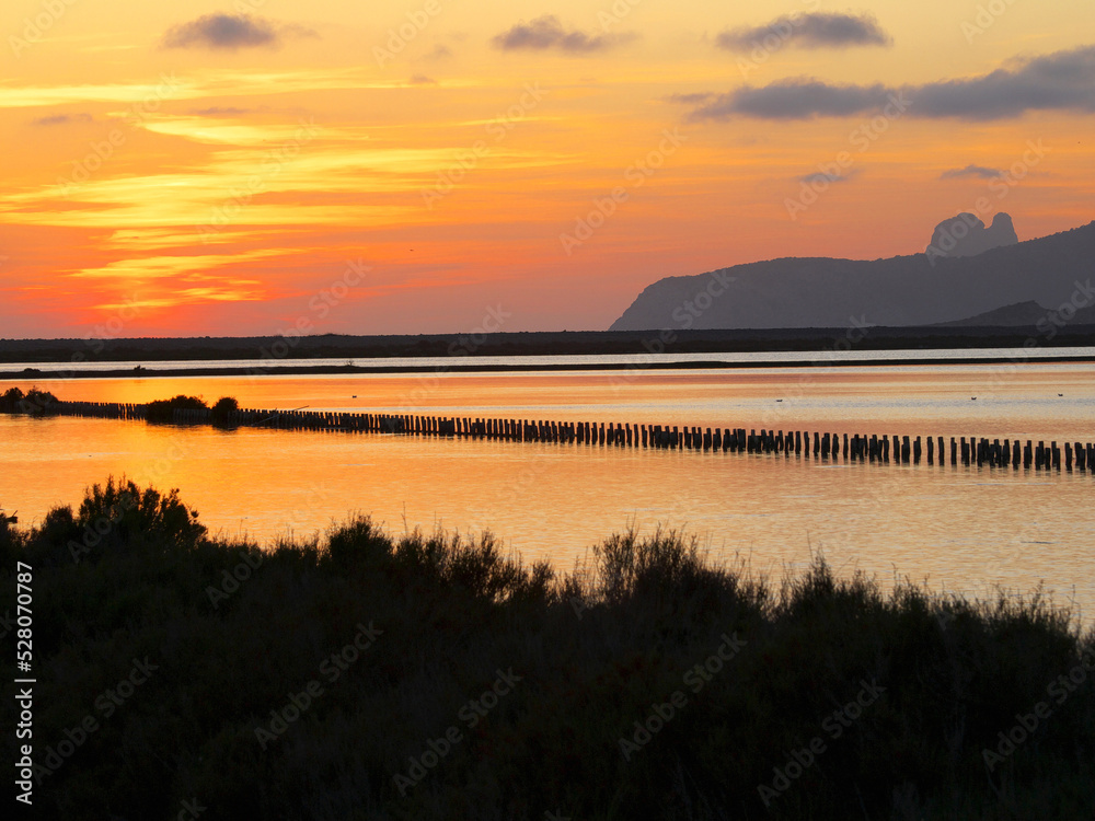 Ses Salines.Eivissa.Ibiza.Islas Pitiusas.Baleares.España. Ses Salines.Eivissa.Ibiza.Islas Pitiusas.Baleares.España.