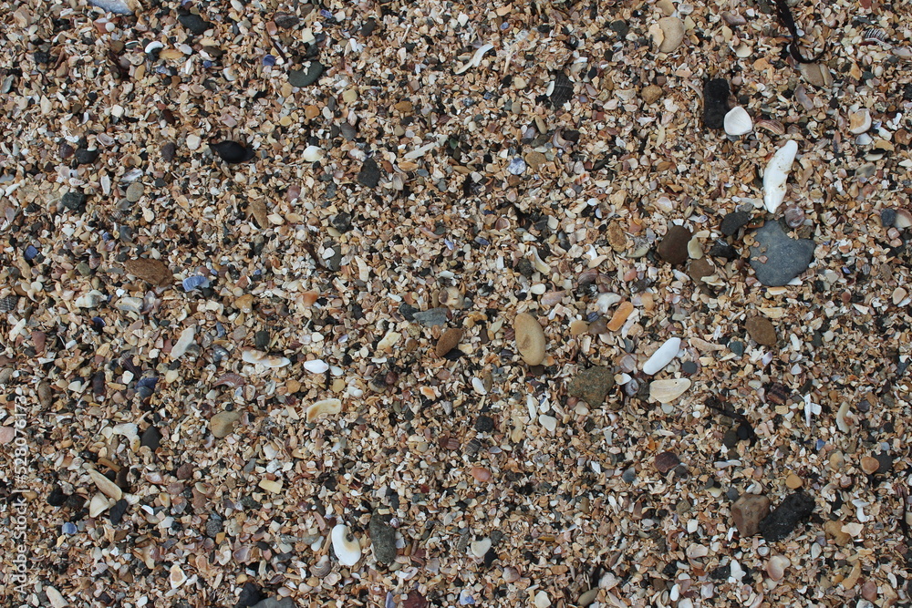 Coarse sand, grit, shells and pebbles in a close up of the beach on Inchcolm Island Coarse sand, grit, shells and pebbles in a close up of the beach on Inchcolm Island