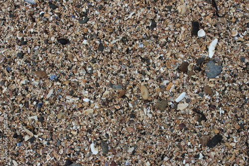 Coarse sand, grit, shells and pebbles in a close up of the beach on Inchcolm Island