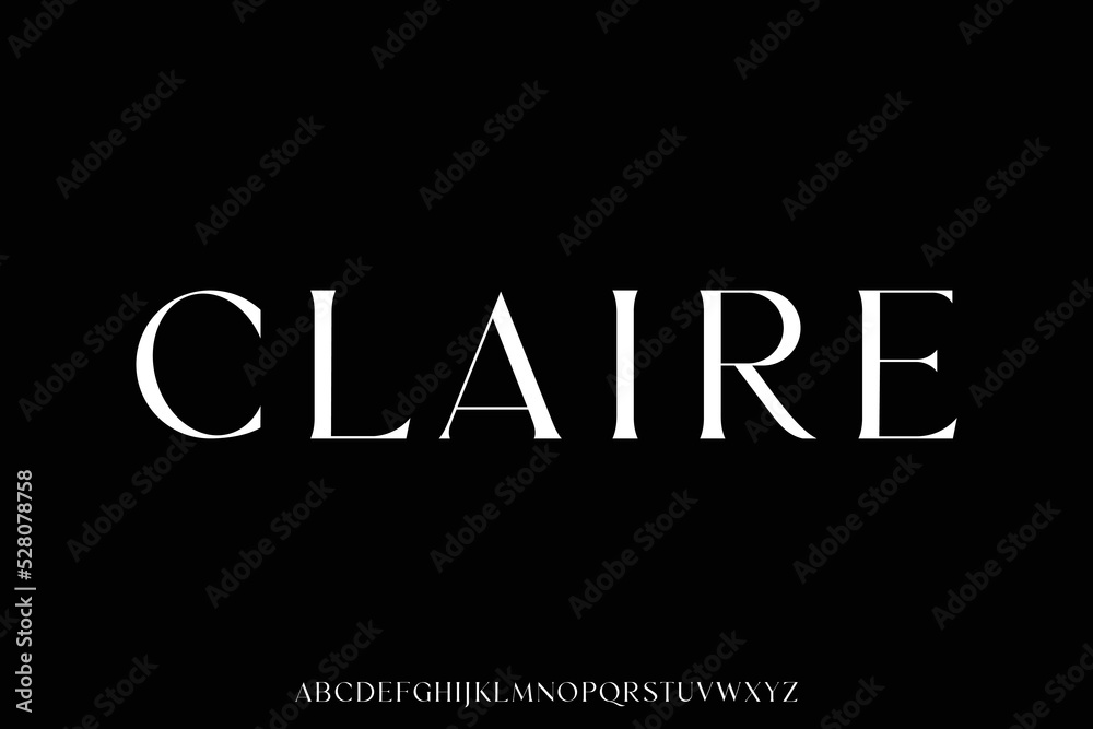 Elegant luxury serif font vector minimal design style