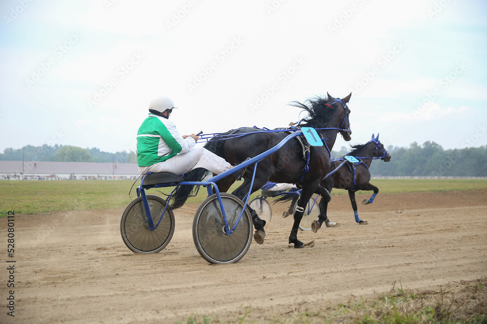 Horse and rider running at horse races Horse and rider running at horse races