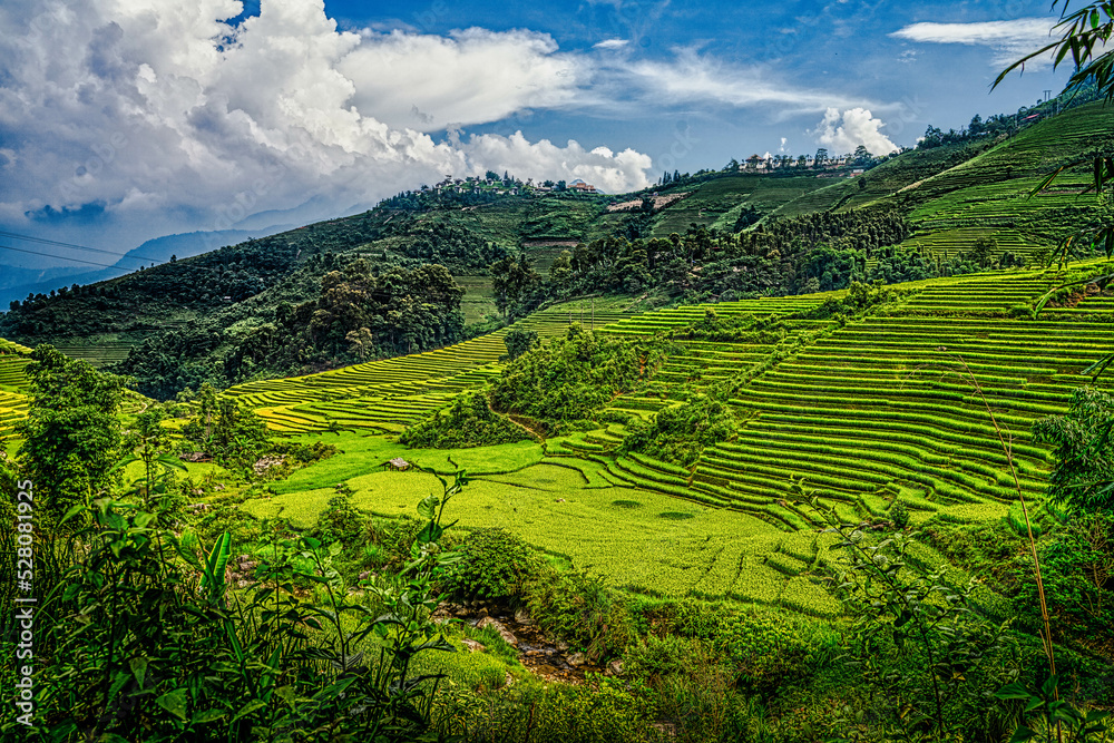 Paysage de rizières en terrasses auVietnam près de Sapa. Rizières à flanc de colline au Vietnam