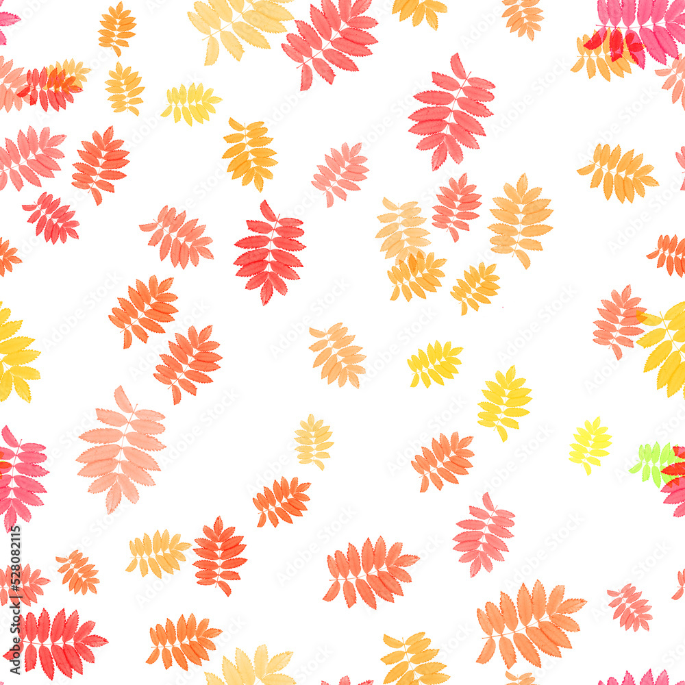 seamless pattern with various rowan tree autumn leaves on white background seamless pattern with various rowan tree autumn leaves on white background
