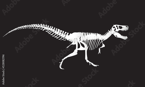 Dinosaur skeleton isolated on black background. Tyrannosaurus Rex. Prehistoric animal. Vector graphics © Евгений Соловьев