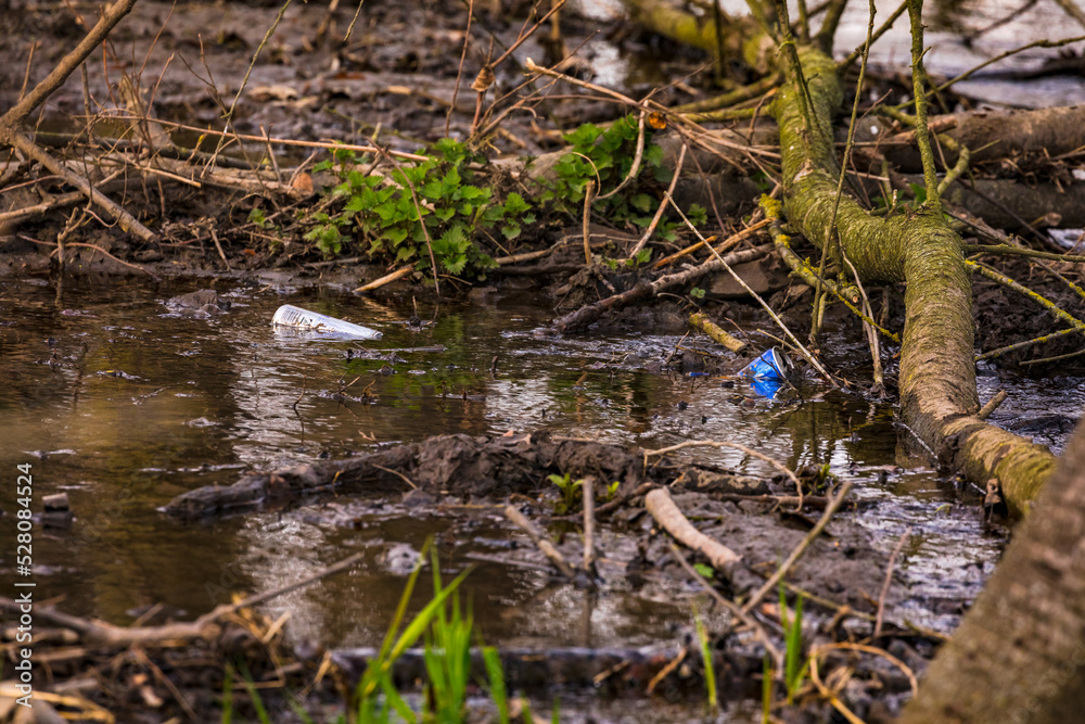 Beverage cans in a protected forest area in Germany pollute our living space Beverage cans in a protected forest area in Germany pollute our living space