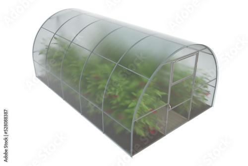 Fototapeta Naklejka Na Ścianę i Meble -  Farm greenhouse for growing plants, fruits, berries, vegetables, flowers. Visualization of a greenhouse with green spaces and mature red tomato fruits. Clipart. Transparent background. 3d rendering